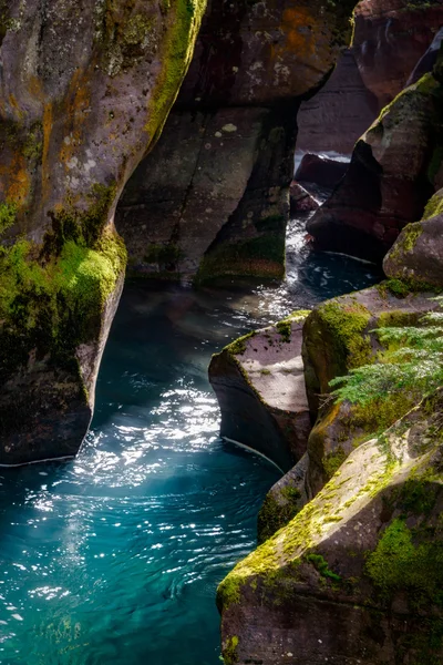 Indagando su Avalanche Creek in Montana — Foto Stock
