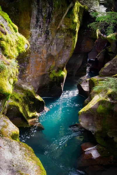 Indagando su Avalanche Creek in Montana — Foto Stock