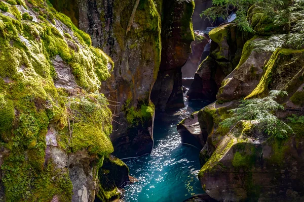 Olhando para Avalanche Creek — Fotografia de Stock