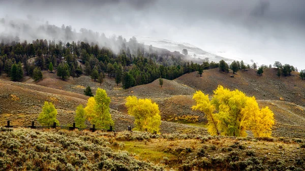 Malerischer Blick auf die Landschaft im Yellowstone Nationalpark — Stockfoto