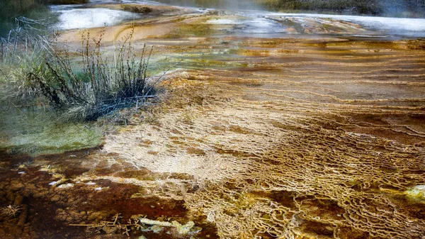 Mammoth Hot Springs nel Parco Nazionale di Yellowstone — Foto Stock