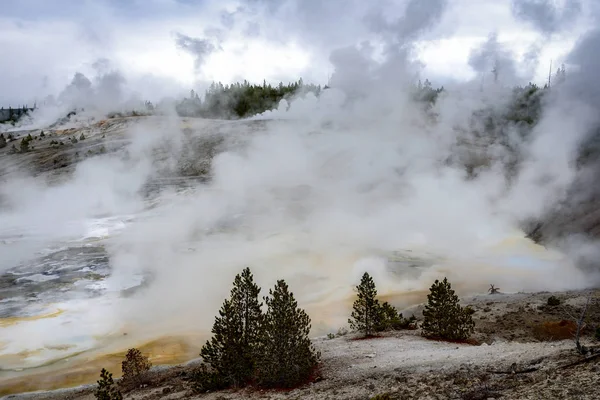 Bacia de Norris Geyser no Parque Nacional de Yellowstone — Fotografia de Stock