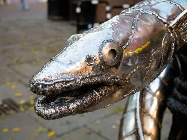 HASTINGS, EAST SUSSEX/UK - NOVEMBER 06 : King Wrapped in the Coi — Stock Photo, Image