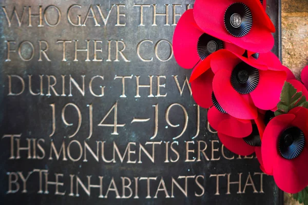 EAST GRINSTEAD WEST SUSSEX/UK - NOVEMBER 13 : Poppies on the War — Stock Photo, Image