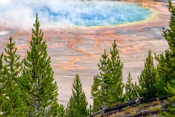 Grand Prismatic Spring i Yellowstone National Park — Stockfoto