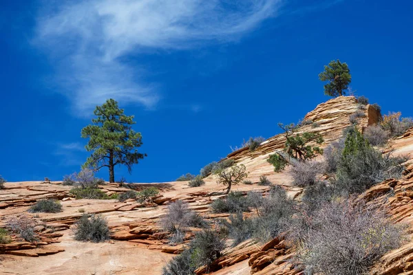Zion Ulusal Parkı 'nda Antik Kayalık — Stok fotoğraf