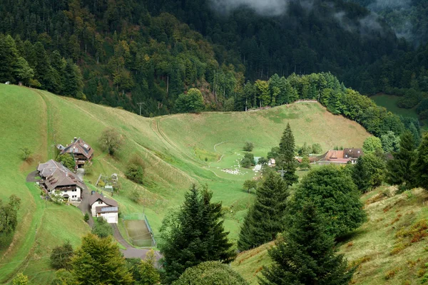 Naturpark Sudschwarzwald/Německo – 23. září: Skupina domů — Stock fotografie