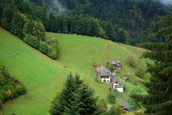 Naturpark Sudschwarzwald/Německo – 23. září: Skupina domů — Stock fotografie