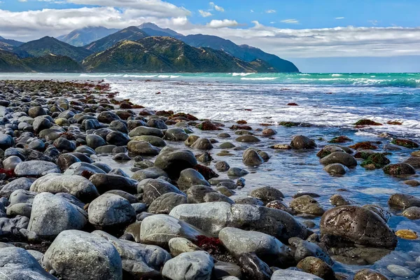 Beach near Mangamaunu in New Zealand — стоковое фото