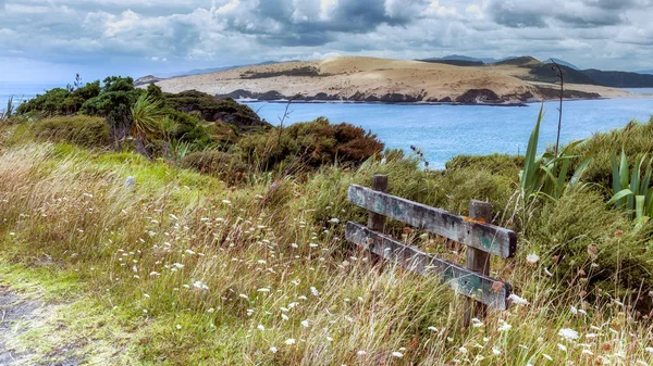 Kustnära promenad nära Arai-Te-Uru rekreation Reserve i Omapere i N — Stockfoto