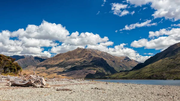 Driftwood on the Shore of Lake Wanaka — Stock Photo, Image