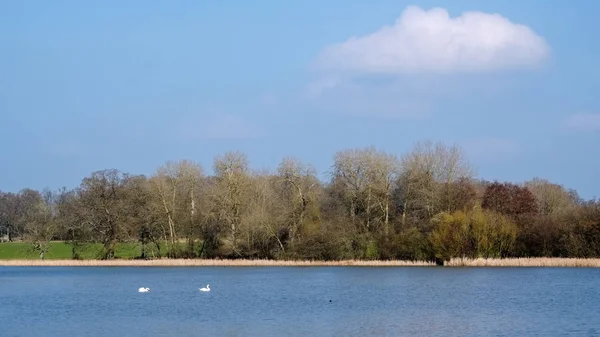 Blick auf den Kneppmühlsee an einem sonnigen Frühlingstag — Stockfoto