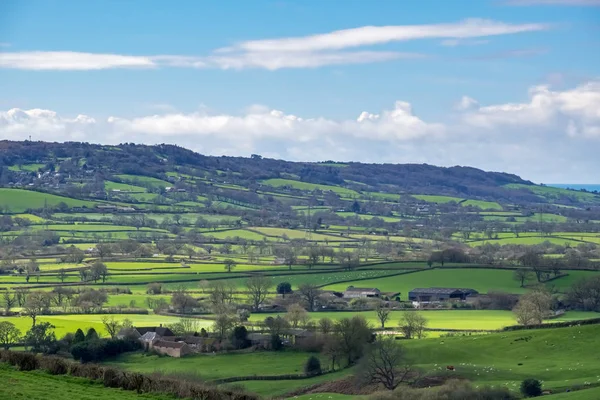 NEAR CHARD, SOMERSET/UK - MARCH 22 : Scenic View of the Undulati — Stock Photo, Image