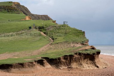 Lyme Regis, Jurassic kıyı şeridi