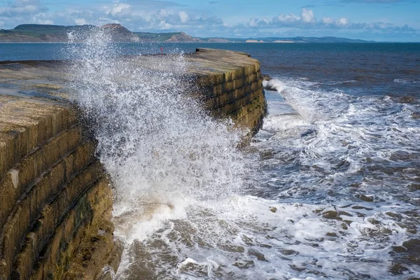 LYME REGIS, DORSET / Regno Unito - Marzo 22: Il muro del porto Cobb a Lyme — Foto Stock