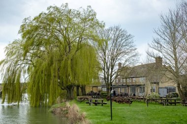 Witney, Oxfordshire/Uk - 23 Mart: Rose canlanan kamu House ne