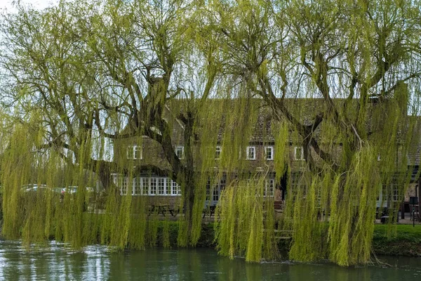 WITNEY, OXFORDSHIRE / UK - 23 DE MARZO: Rose Revived Public House ne —  Fotos de Stock