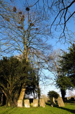 Leafield, Oxfordshire/Uk - 24 Mart: Rookery ve Graavstones içinde