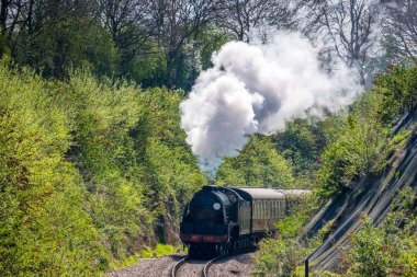 East Grinstead, Sussex/Uk - Nisan 06: Bluebe Buhar trende