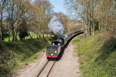 East Grinstead, Sussex/Uk - Nisan 06: Bluebe Buhar trende