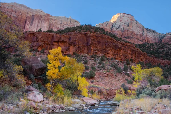 Autumn in Zion — Stock Photo, Image