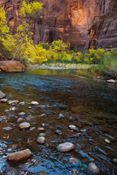 Río Virgen en el Parque Nacional de Zion — Foto de Stock