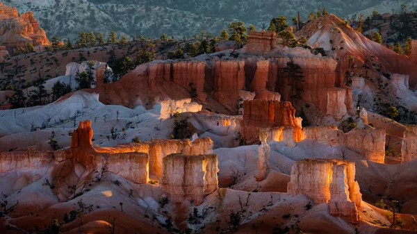 Glowing Hoodoos en Bryce Canyon — Foto de Stock