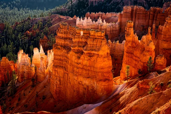 Bryce Canyon doğa tarafından heykel — Stok fotoğraf