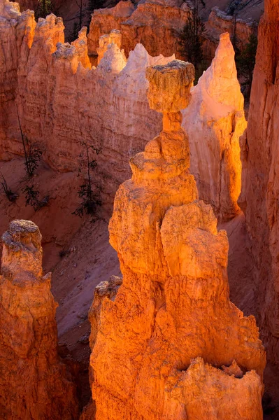 Zářící skalní útvary v Bryce Canyon jižním Utahu — Stock fotografie