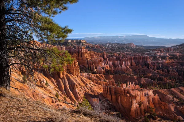 Malebný pohled na Bryce Canyon Jižní Utah Usa — Stock fotografie