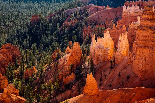 Vista panorámica del Cañón Bryce en el sur de Utah —  Fotos de Stock