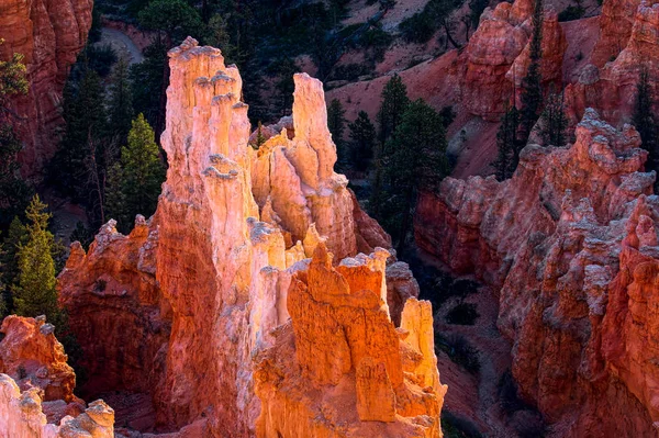 Bryce canyon vysochaná prvky — Stock fotografie