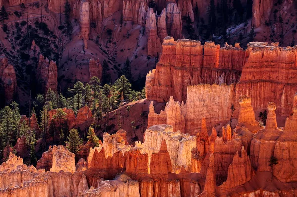 Bryce Canyon glödande i den tidiga morgonsolen — Stockfoto