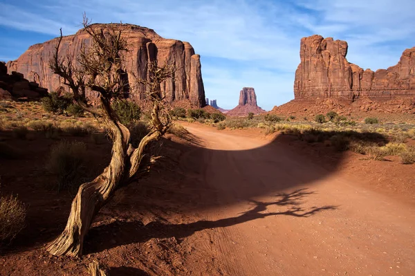 Zmarłe drzewo w Monument Valley Utah Usa — Zdjęcie stockowe