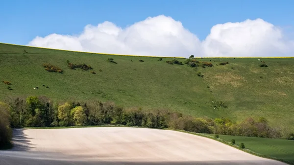 Scenic View of the Rolling Sussex Countryside — Stock Photo, Image