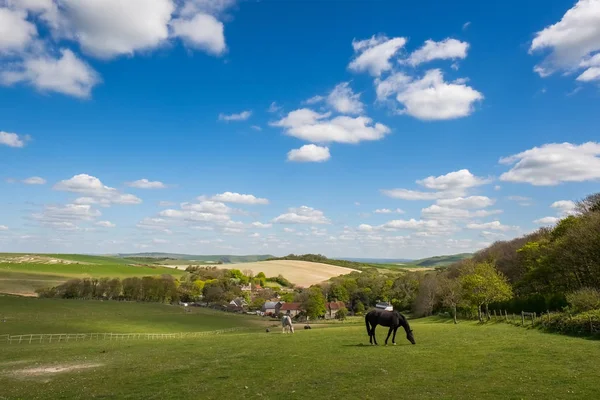 Horses at Home in the Rolling Sussex Countryside — Stock Photo, Image