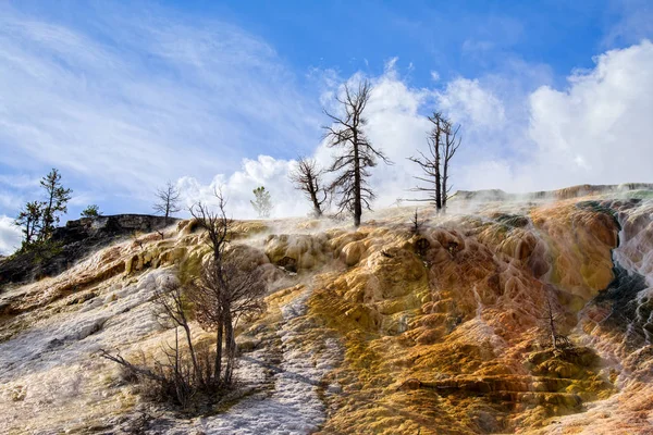 Mamut Hot Springs w Parku Narodowym Yellowstone — Zdjęcie stockowe