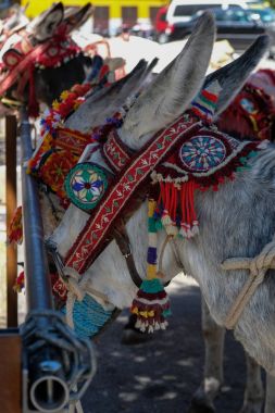 Mijas, Andalucia/İspanya - 3 Temmuz: Mijas Andalucia eşek takside