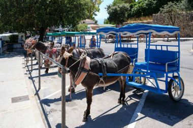 Mijas, Andalucia/İspanya - 3 Temmuz: Mijas Andalucia eşek takside