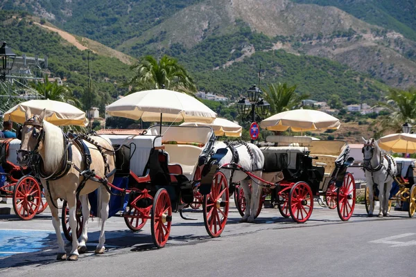 MIJAS, ANDALUCIA / ESPAÑA - 3 DE JULIO: Caballo y transporte en Mijas An —  Fotos de Stock