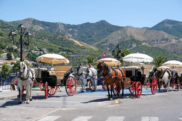 MIJAS, ANDALUCIA / ESPAÑA - 3 DE JULIO: Caballo y transporte en Mijas An —  Fotos de Stock