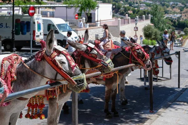 MIJAS, ANDALUCIA/SPAIN - JULY 3 : Donkey Taxi in Mijas Andalucia — Stock Photo, Image