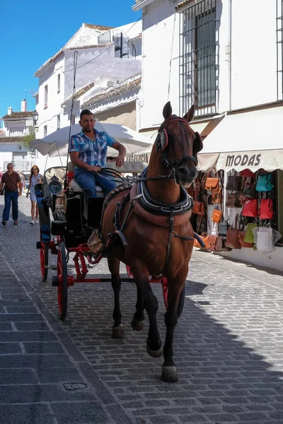 Mijas, Andalusië/Spanje - 3 juli: Paard en wagen in Mijas een — Stockfoto