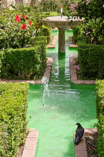 MALAGA, ANDALUCIA / ESPAÑA - 5 DE JULIO: Vista de los Jardines — Foto de Stock