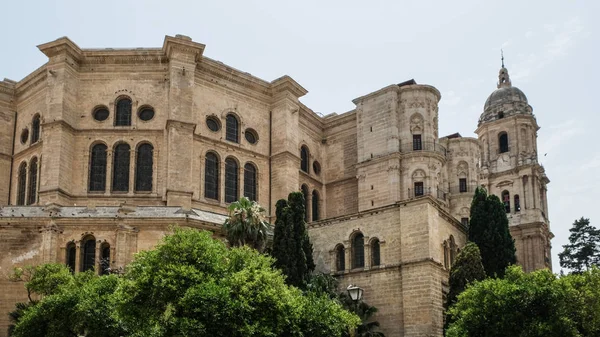 MALAGA, ANDALUCIA / SPAIN - JULY 5: View towards the Cathedral in — стоковое фото