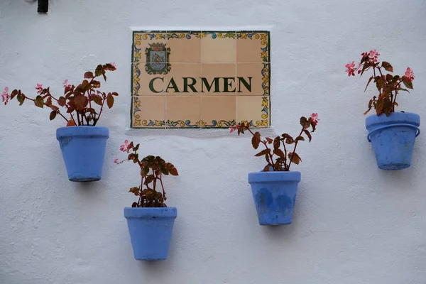 Marbella, Andalusië/Spanje - 6 juli: Blauwe bloempotten op een muur ik — Stockfoto