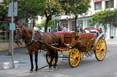 Marbella, Andalucia/İspanya - 6 Temmuz: Ve atımı Marbe içinde