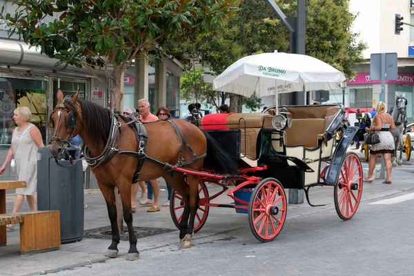 Marbella, Andalúzia, Spanyolország - július 6.: A ló, és a kocsi a Marbe — Stock Fotó