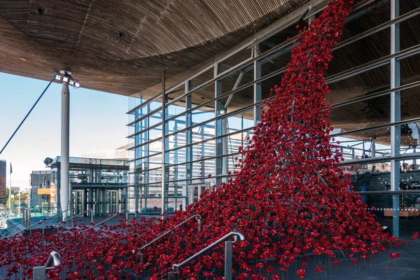 CARDIFF/UK - AUGUST 27 : Poppies Pouring out of the Welsh Assemb — Stock Photo, Image