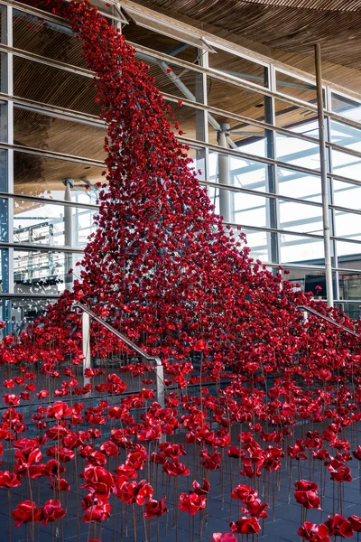 CARDIFF / UK - AUGUST 27: Poppies Pouring out of the Welsh Assemb — стоковое фото